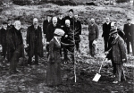 Mrs Beswick planting a Coronation oak in the Christchurch Domain [22 June 1911]
