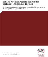 Cover of United Nations Declaration on the Rights of Indigenous Peoples